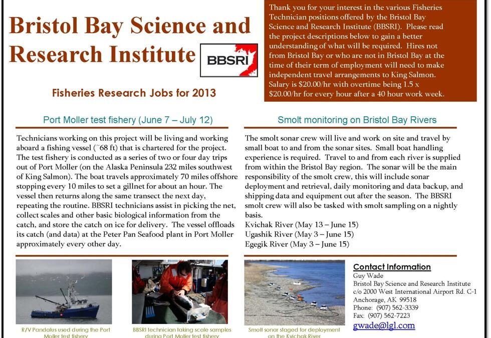 Bristol Bay Science and Research Institute Summer Internship Opportunity!