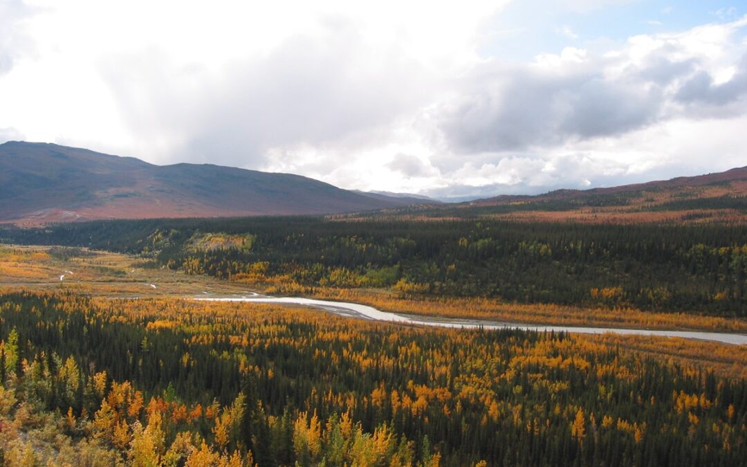 September Native Word of the Month